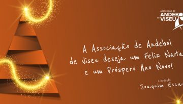 A Associação de Andebol de Viseu deseja um Feliz Natal e um Próspero Ano Novo!