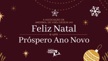 A Associação de Andebol de Viseu deseja um Feliz Natal e um Próspero Ano Novo!